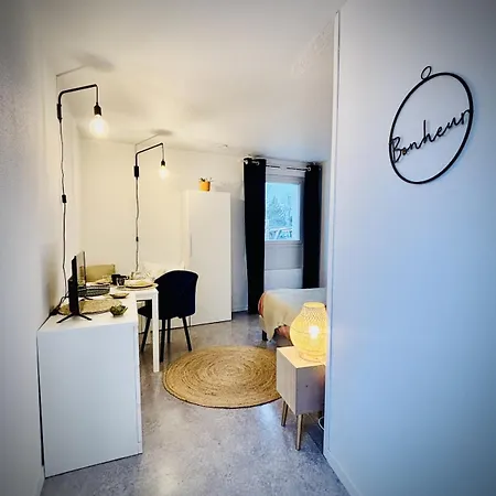 Salamandre Cocon Cosy Proche Tram Et Facultes Daire *