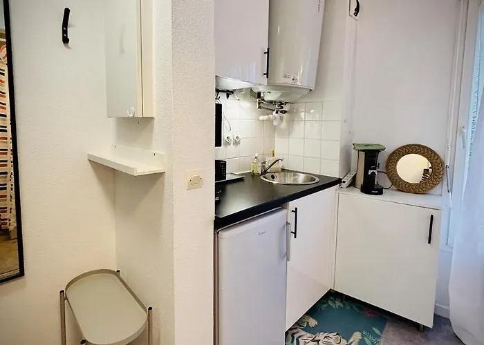 Salamandre Cocon Cosy Proche Tram Et Facultes